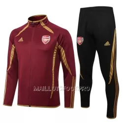 Arsenal Ensemble Vestes d'Entraînement Homme 22-23 Rouge Arsenal Ensemble Vestes d'Entraînement Homme 22-23 Rouge