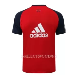 FC Bayern Munich Maillot d'Entraînement Homme 22-23 Bleu Rouge