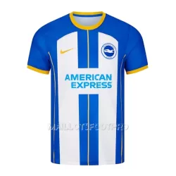 Maillot Brighton Hove Albion Homme Domicile 2022-23 Maillot Brighton Hove Albion Homme Domicile 2022-23