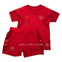 Maillot Danemark Enfant Domicile Coupe du Monde 2022 Maillot Danemark Enfant Domicile Coupe du Monde 2022
