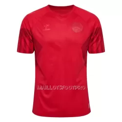 Maillot Danemark Homme Domicile Coupe du Monde 2022 Maillot Danemark Homme Domicile Coupe du Monde 2022