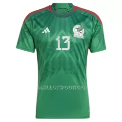 Maillot Mexique G.OCHOA 13 Homme Domicile Coupe du Monde 2022