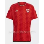 Maillot Pays de Galles Homme Domicile Coupe du Monde 2022