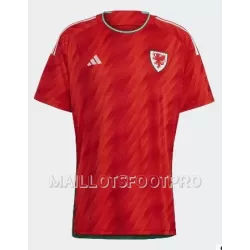Maillot Pays de Galles Homme Domicile Coupe du Monde 2022 Maillot Pays de Galles Homme Domicile Coupe du Monde 2022