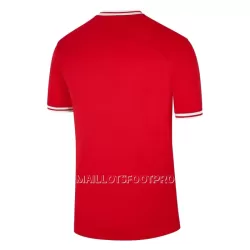 Maillot Pologne Homme Extérieur Coupe du Monde 2022