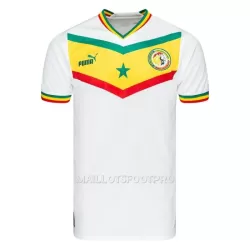 Maillot Sénégal Homme Domicile Coupe du Monde 2022 Maillot Sénégal Homme Domicile Coupe du Monde 2022