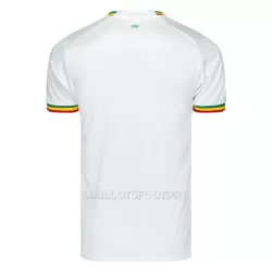 Maillot Sénégal Homme Domicile Coupe du Monde 2022