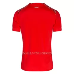 Maillot Suisse Homme Domicile Coupe du Monde 2022