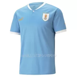 Maillot Uruguay Homme Domicile Coupe du Monde 2022 Maillot Uruguay Homme Domicile Coupe du Monde 2022