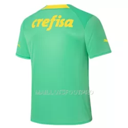 Maillot Palmeiras Homme Third 2022-23