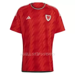 Maillot Pays de Galles Bale 11 Homme Domicile Coupe du Monde 2022