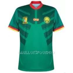 Maillot Cameroun Homme Domicile Coupe du Monde 2022 Maillot Cameroun Homme Domicile Coupe du Monde 2022