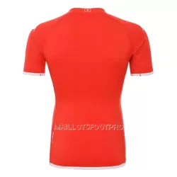 Maillot Tunisie Homme Domicile Coupe du Monde 2022