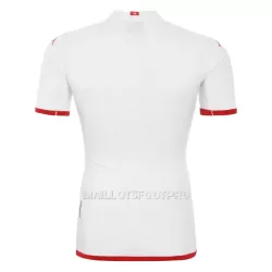 Maillot Tunisie Homme Extérieur Coupe du Monde 2022
