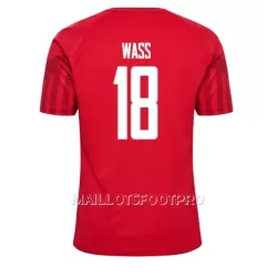 Maillot Danemark Daniel Wass 18 Homme Domicile Coupe du Monde 2022 Maillot Danemark Daniel Wass 18 Homme Domicile Coupe du Monde 2022