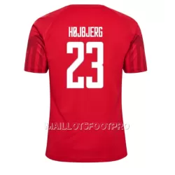 Maillot Danemark Pierre-Emile Hojbjerg 23 Homme Domicile Coupe du Monde 2022 Maillot Danemark Pierre-Emile Hojbjerg 23 Homme Domicile Coupe du Monde 2022