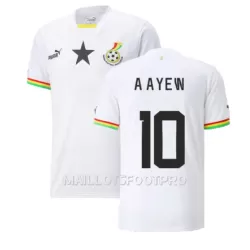 Maillot Ghana Andre Ayew 10 Homme Domicile Coupe du Monde 2022 Maillot Ghana Andre Ayew 10 Homme Domicile Coupe du Monde 2022