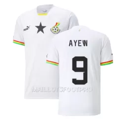 Maillot Ghana Ayew 9 Homme Domicile Jordan Coupe du Monde 2022 Maillot Ghana Ayew 9 Homme Domicile Jordan Coupe du Monde 2022
