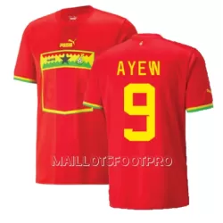 Maillot Ghana Ayew 9 Homme Extérieur Jordan Coupe du Monde 2022 Maillot Ghana Ayew 9 Homme Extérieur Jordan Coupe du Monde 2022