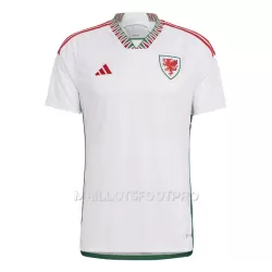 Maillot Pays de Galles Homme Extérieur Coupe du Monde 2022 Maillot Pays de Galles Homme Extérieur Coupe du Monde 2022