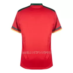 Maillot Cameroun Homme Third Coupe du Monde 2022