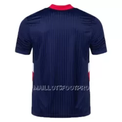 Maillot Ajax Amsterdam Adidas Icon Homme 22-23