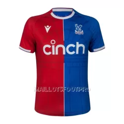 Maillot Crystal Palace Homme Domicile 2023-24 Maillot Crystal Palace Homme Domicile 2023-24