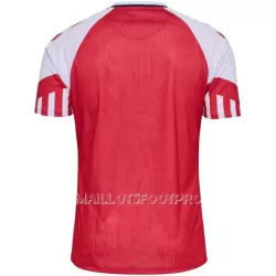 Maillot Danemark Homme Domicile 2023