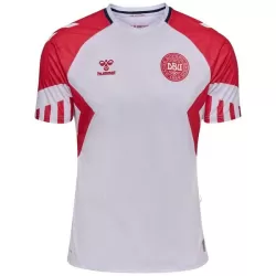 Maillot Danemark Homme Extérieur 2023 Maillot Danemark Homme Extérieur 2023