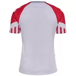 Maillot Danemark Homme Extérieur 2023