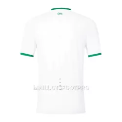 Maillot Irlande Homme Extérieur 2023