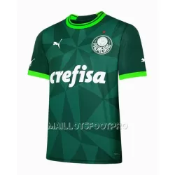 Maillot Palmeiras Homme Domicile 2023-24 Maillot Palmeiras Homme Domicile 2023-24