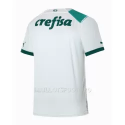 Maillot Palmeiras Homme Extérieur 2023-24