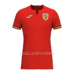 Maillot Roumanie Homme Extérieur 2023