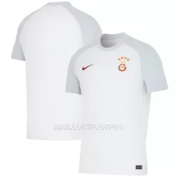 Maillot Galatasaray Homme Extérieur 2023-24 Maillot Galatasaray Homme Extérieur 2023-24