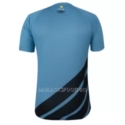 Maillot Athletico Paranaense Homme Extérieur 2023-24