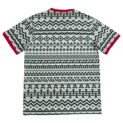 Maillot Nigéria Homme 2023-24