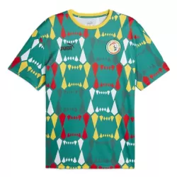 Maillot Sénégal Homme Domicile 2023-24 Maillot Sénégal Homme Domicile 2023-24