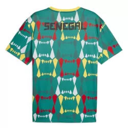Maillot Sénégal Homme Domicile 2023-24