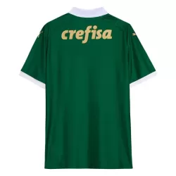 Maillot Palmeiras Homme Domicile 2024-25