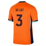 Maillot Pays-Bas De Ligt 3 Homme Domicile Euro 2024