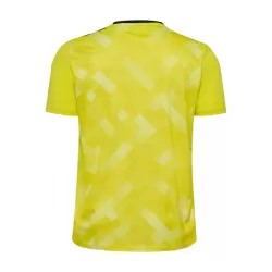 Maillot Gardien Danemark Homme Euro 2024 Jaune