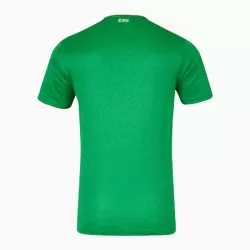 Maillot Irlande Homme Domicile 2024-25