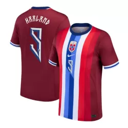 Maillot Norvège Haaland 9 Homme Domicile 2024 Maillot Norvège Haaland 9 Homme Domicile 2024