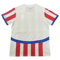 Maillot Paraguay Homme Domicile 2024