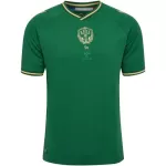 Maillot AS Saint-Étienne Homme Anniversaire 2023-24
