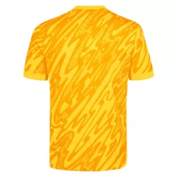Maillot Gardien Tottenham Hotspur Homme 2024-25 Jaune