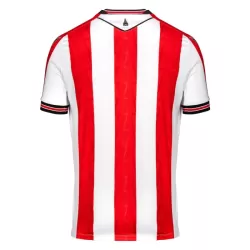 Maillot Stoke City Homme Domicile 2024-25