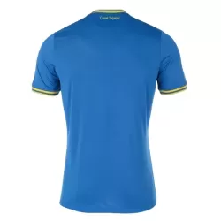 Maillot Ukraine Homme Extérieur Euro 2024