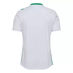 Maillot AS AS Saint-Étienne Homme Extérieur 2024-25